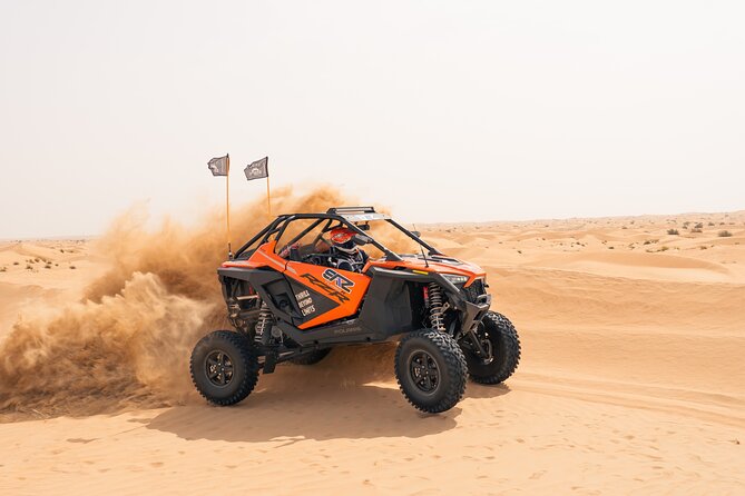 Desert Buggy Tours in Dubai - Price and value: is $418.70 per group a smart spend?