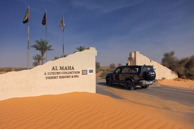 Desert Conservation Wildlife Drive & Breakfast at Al Maha Resort - What about wildlife sightings and photo odds?