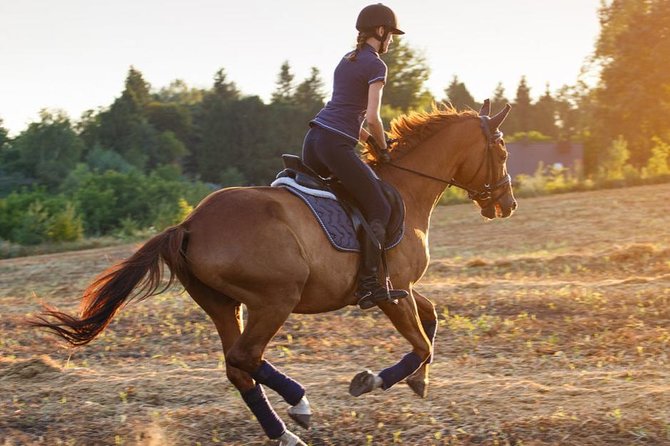 Desert Horse Riding- 1 Hour - Key things to know before you go