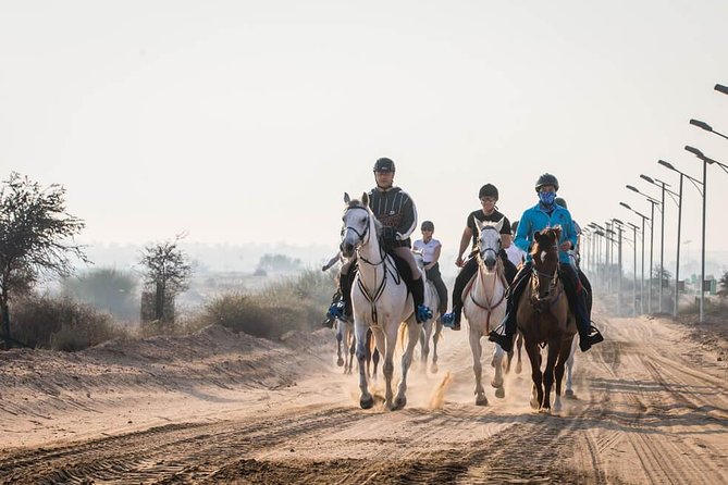 Desert Horse Riding- 1 Hour - Mushrif Park desert horse riding, the real vibe