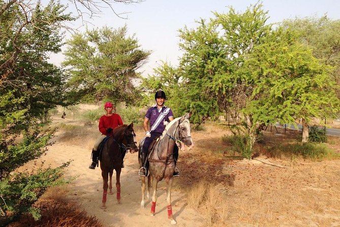 Desert Horse Riding- 1 Hour - Price and value, what you’re paying for