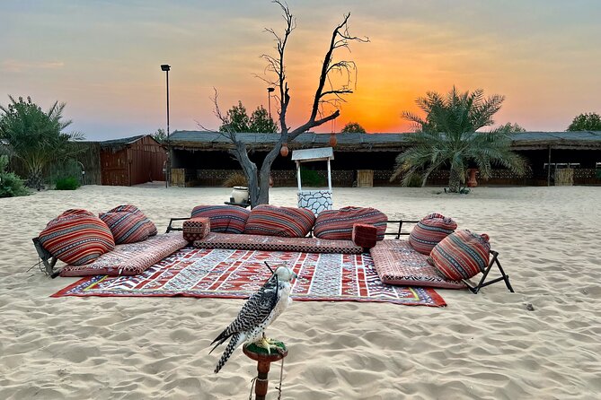 Desert Safari Abu Dhabi w/ Sand Boarding, Camel Ride & BBQ Dinner - Sand Boarding and Camel Ride: What You Should Expect (and What to Pace)