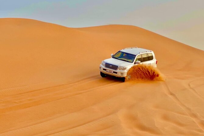 Desert safari adventure with BBQ dinner - BBQ dinner under the stars: what is included and how it works