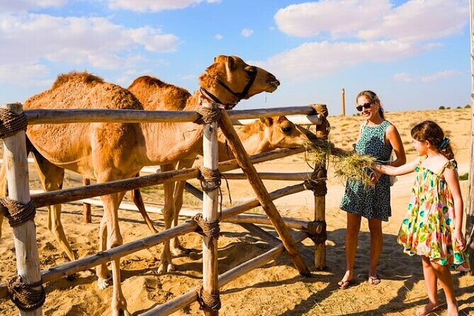 Desert Safari Dubai 30 Mins Quad Bike, Sand Board, Camel Ride BBQ - Value Check: Why This Combo Often Beats Booking Activities Separately