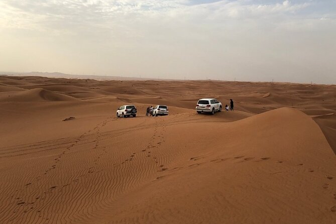 Desert Safari Dubai - Red dunes to Bedouin camp: camel ride, sandboarding, and falcon photos
