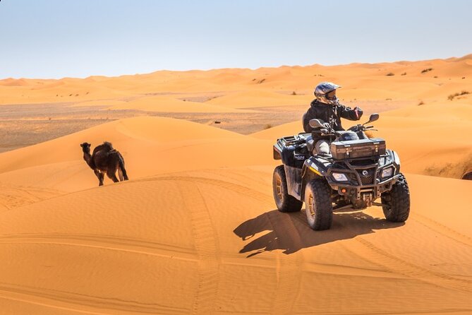 Desert Safari Dubai - Price and value: does $106.67 for about 6 hours make sense?