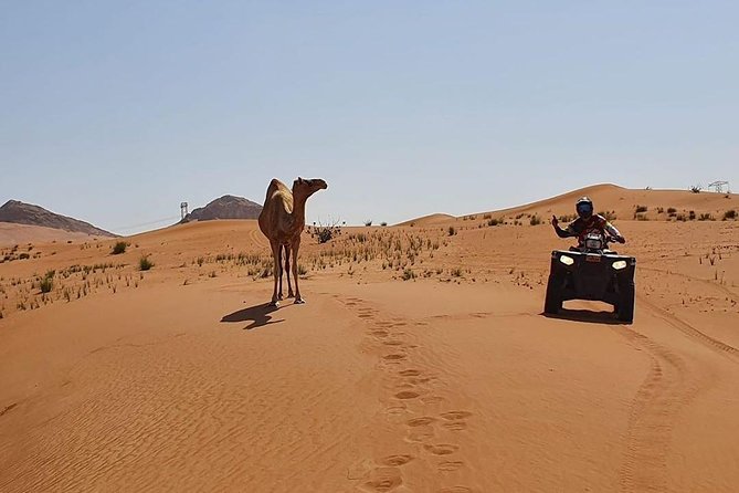 Desert Safari Dubai (PREMIUM VIP) - The Live BBQ Dinner, VIP Seating, and Show Time