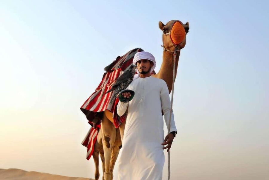 Desert Safari Dubai with Camel Ride, Sandboarding & Dinner - How the 7-Hour Desert Safari Pulls You Out of Dubai