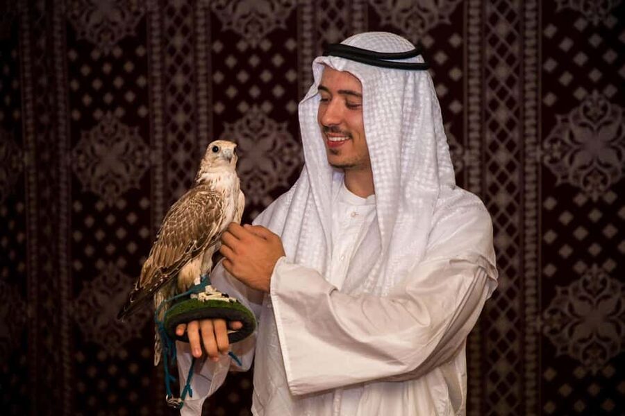 Desert Safari Dubai with Camel Ride, Sandboarding & Dinner - Pickup Choices in Dubai, Sharjah, and Ajman, and How to Plan