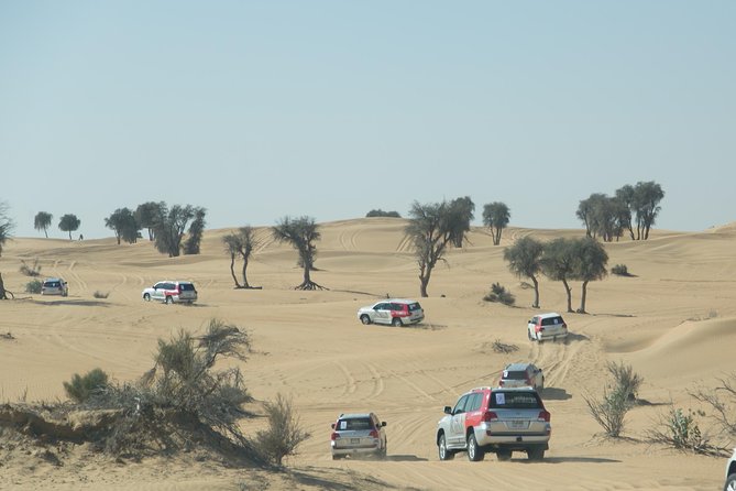 Desert Safari in Dubai with full package - no hidden cost - The campsite plan: what you do while you wait for dinner