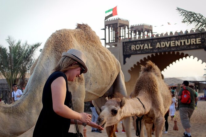 Desert Safari Quad Biking with Barbeque and Dubai City Tour - Camp time: BBQ buffet-style dinner, entertainment, and photos