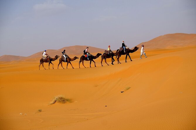Desert Safari with BBQ Dinner from Dubai - Desert camp arrival: gahwa coffee, dates, and the first activities