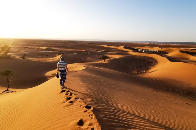 Desert Safari With BBQ Dinner, Quad Ride And And Sand-boarding - Dune bashing by Land Cruiser, plus real safety notes
