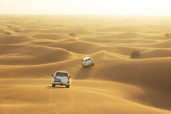 Desert Safari With Camel Ride and Dinner - The 4x4 dune bashing ride: the main event