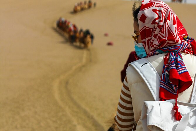 Desert Safari with Camel Riding and BBQ Dinner - Lahbab Start: Red-Dune Dune Bashing and Sandboarding