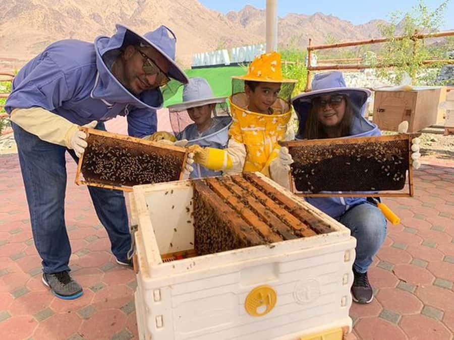 Discover Hatta Hidden Gem Private Tour with Kayaking & Honey - Honey Bee Garden: Bees, Hives, and a Tasting You Can Explain