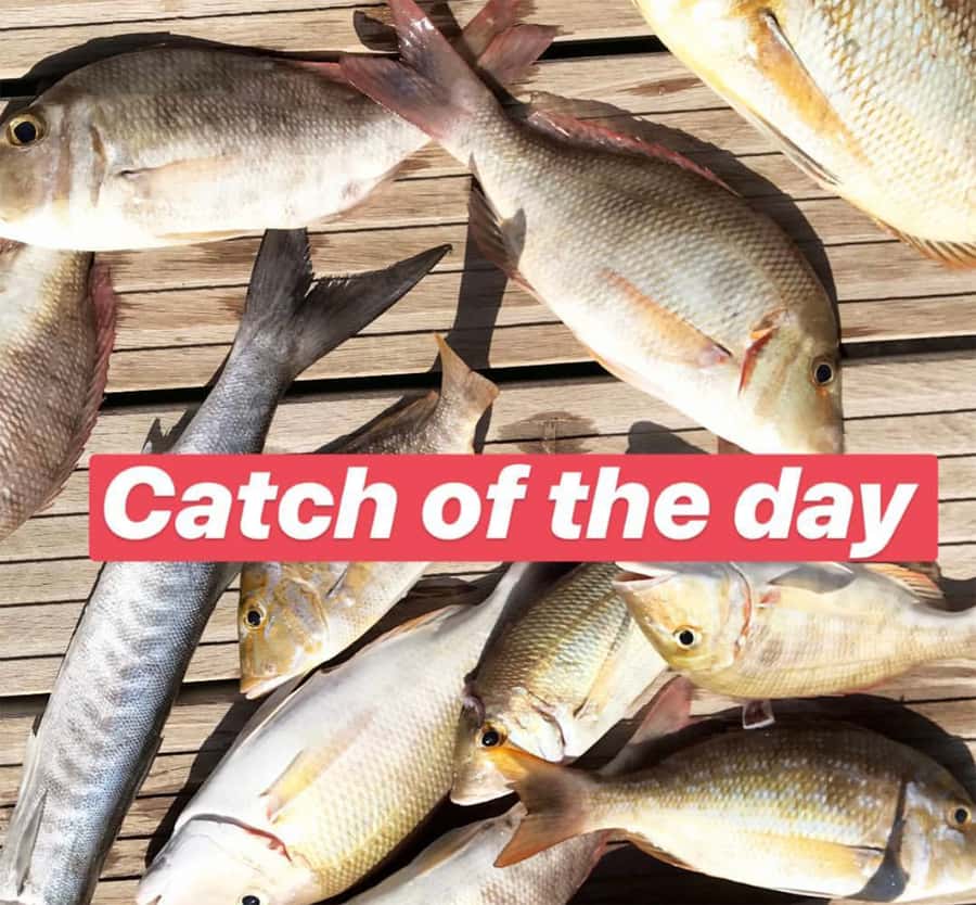 Dubai: 4-Hour Private Deep Sea/Trolling Fishing Trip - Practical tips to make your fishing more fun