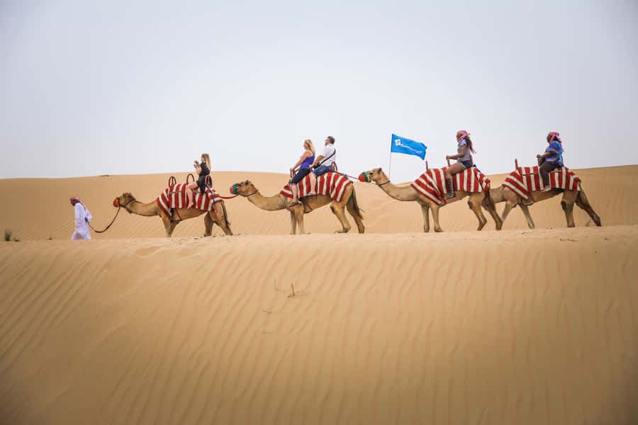 Dubai: Adventure Quad Bike Safari, Camel Ride & Refreshment - Camel Ride: Short, Scenic, and Best for a Gentle Perspective