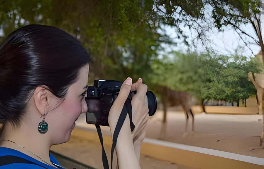 Dubai: Al Ain Garden City with Conservation Zoo - Hot water springs at the base: a foot-soak that actually helps