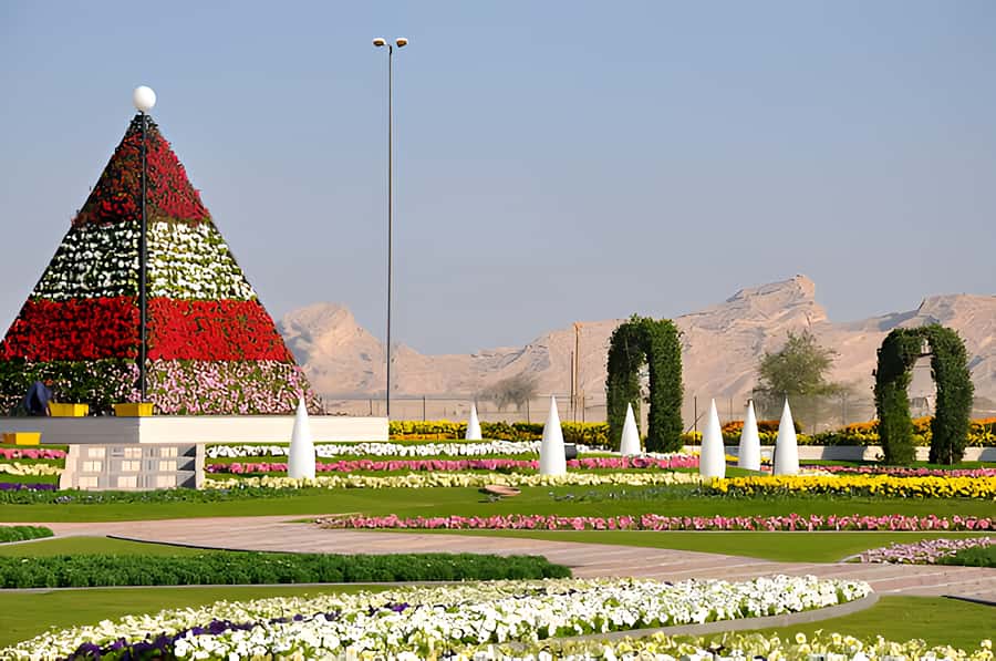 Dubai: Al Ain Garden City with Conservation Zoo - Camel market in Al Ain: big, lively, and worth approaching calmly