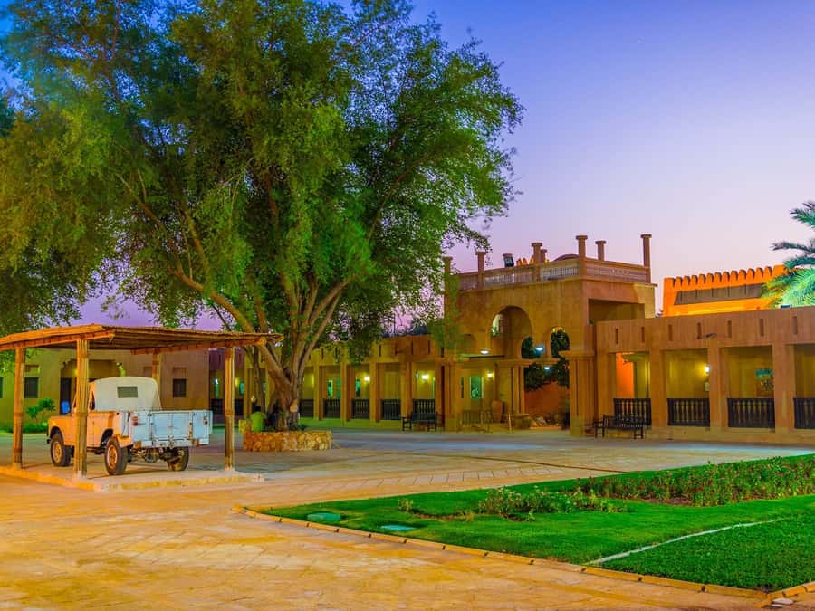 Dubai: Al Ain Oasis, Camel Market, Old Museum & Jebel Hafeet - Jebel Hafeet: panoramic desert views that justify the drive