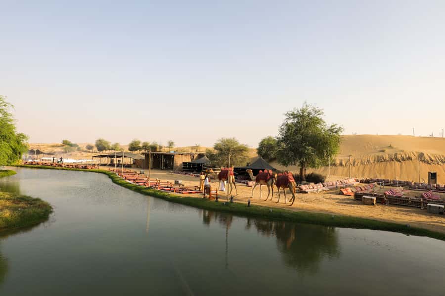 Dubai: Al Marmoom and Al Qudra Lakes Guided Tour with Dinner - Desert Lakes and a Vintage G-class Pickup