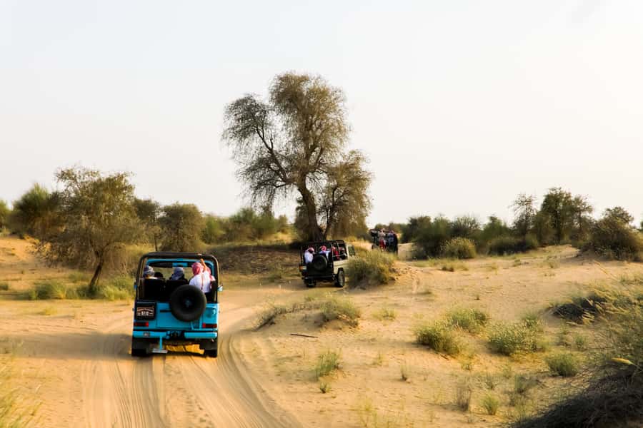 Dubai: Al Marmoom and Al Qudra Lakes Guided Tour with Dinner - Al Marmoom Oasis Camp: Bedouin Life You Can See Up Close