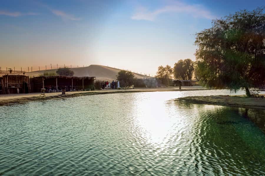 Dubai: Al Marmoom Oasis Safari, Animal Spotting & Breakfast - Price and Value: What $134 Buys You in a Tight 4 to 5 Hours