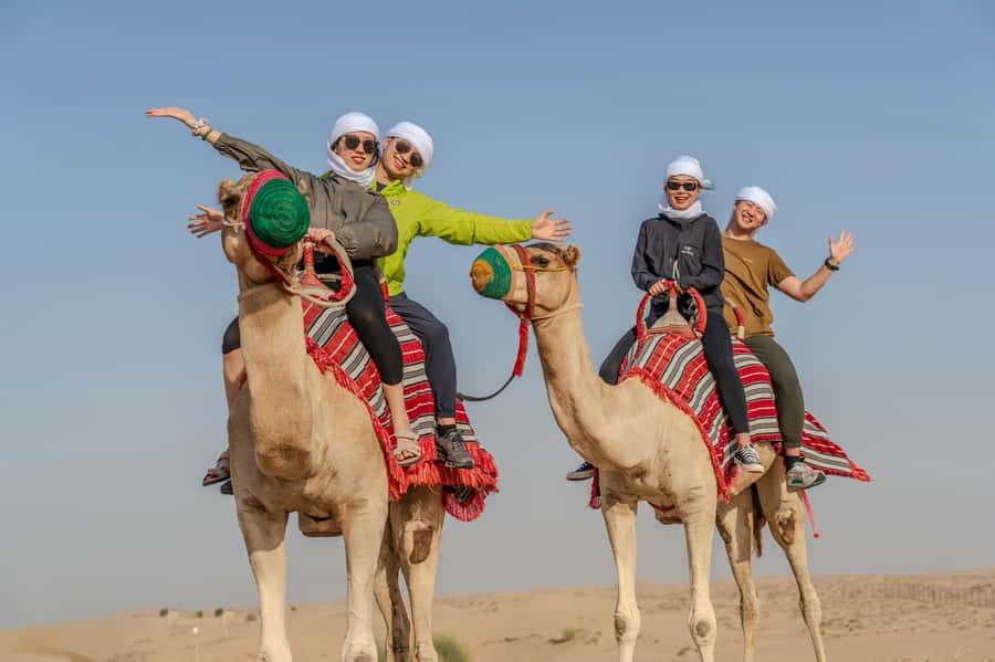 Dubai: Al Marmoom Oasis Safari, Animal Spotting & Breakfast - Who This Safari Fits Best, and Who Might Want Another Option