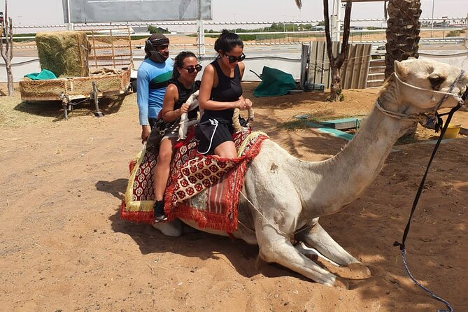 Dubai: All Inclusive Desert Safari with ATV, Camel, Horse ride, Vip & more - Al Awir Camp: Falcons, Henna, Shisha, and the Horse and Camel Rides