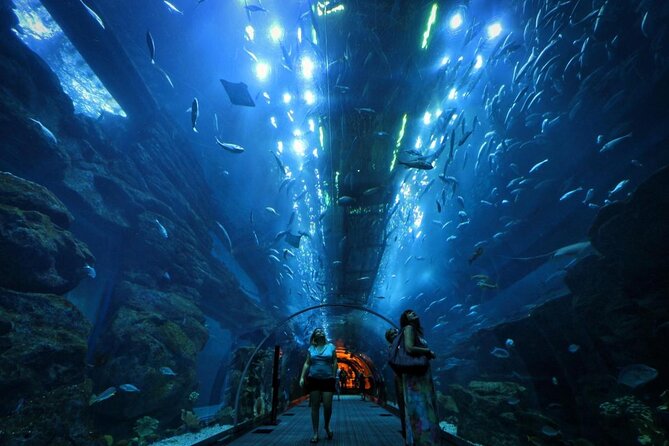 Dubai Aquarium and Underwater Zoo Admission Ticket with Options - Key highlights you should plan around