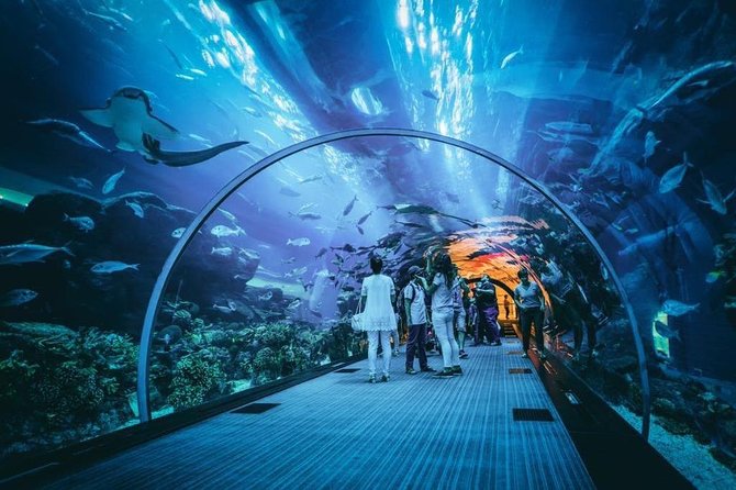 Dubai Aquarium and Underwater Zoo Admission Ticket with Options - Ticket sanity: entry is easy, but confirm your option works