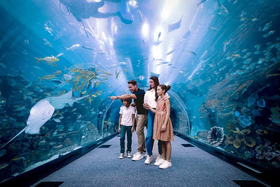 Dubai: Aquarium and Underwater Zoo Experience - Key highlights worth knowing before you go