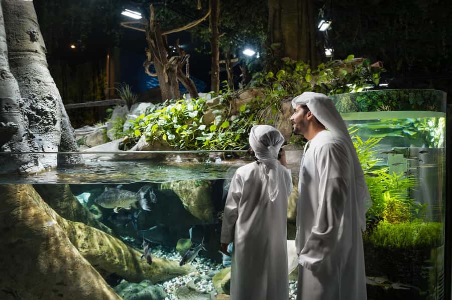 Dubai: Aquarium and Underwater Zoo Experience - Entering Dubai Aquarium and Underwater Zoo in the middle of Dubai Mall