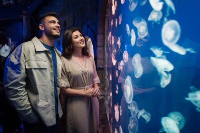 Aquarium and Underwater Zoo Experience