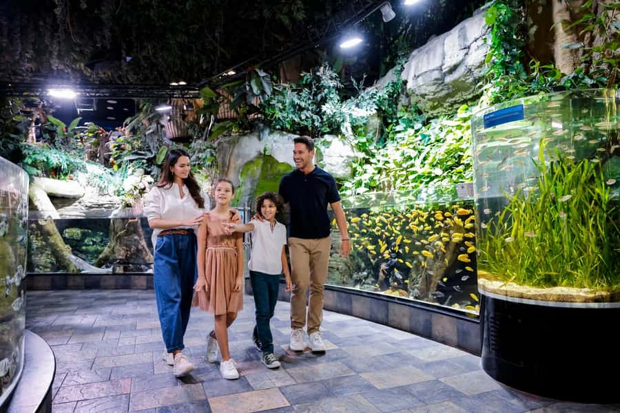 Dubai: Aquarium and Underwater Zoo Experience - Underwater Zoo zones: rainforest, rocky shore, and living ocean