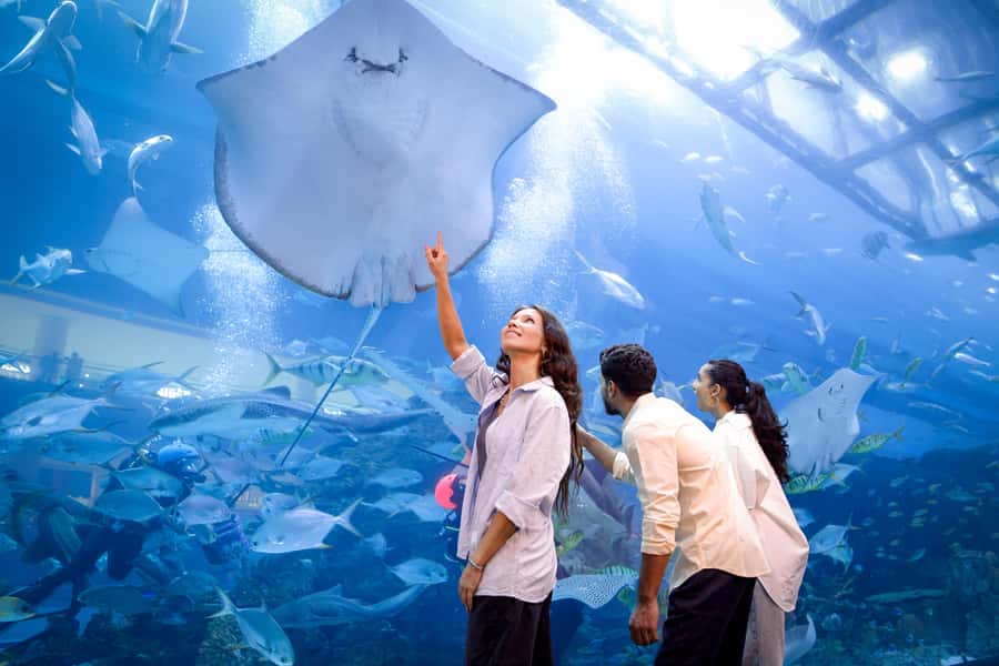 Dubai: Aquarium and Underwater Zoo Experience - Ticket tiers: what Regular Pass vs Ultimate vs All Access VIP changes