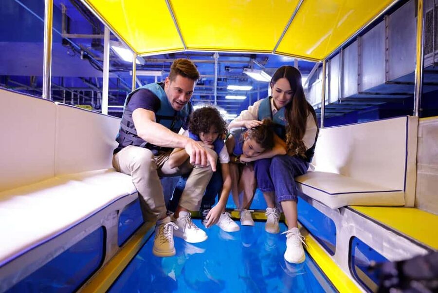 Dubai Aquarium + Sky Views Observatory Tickets - Photo moment reality check: plan for paid pictures