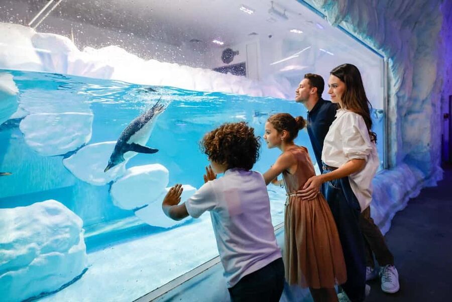 Dubai Aquarium + Sky Views Observatory Tickets - Sky Views Observatory: panoramic Dubai views you can actually use