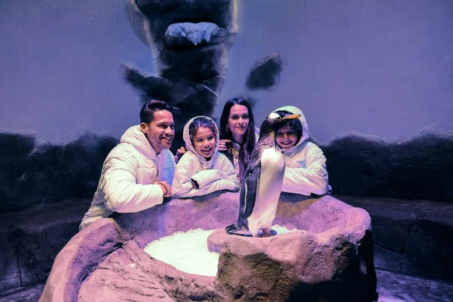 Dubai Aquarium + Sky Views Observatory Tickets - Glass Walk: transparent floor, real nerves, simple setup