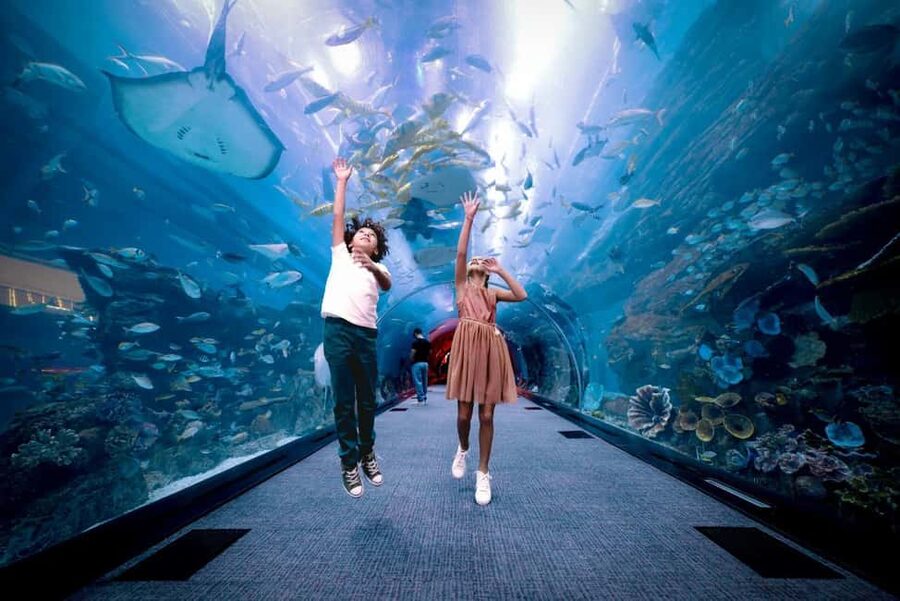 Dubai Aquarium + Sky Views Observatory Tickets - When this combo fits best (and when it might not)