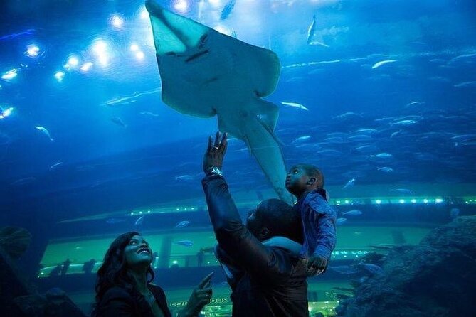 Dubai Aquarium underater zoo penguin cove with optional transport - Price and value: is $89 per person actually a good deal?
