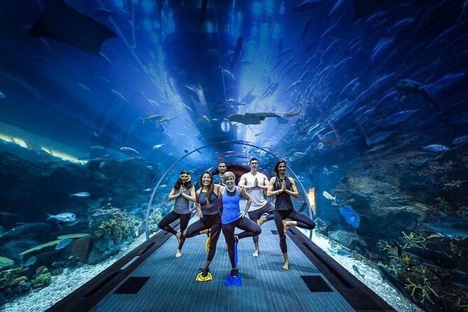 Dubai Aquarium underater zoo penguin cove with optional transport - Glass-bottom boat ride: the easiest way to see the tank like a local