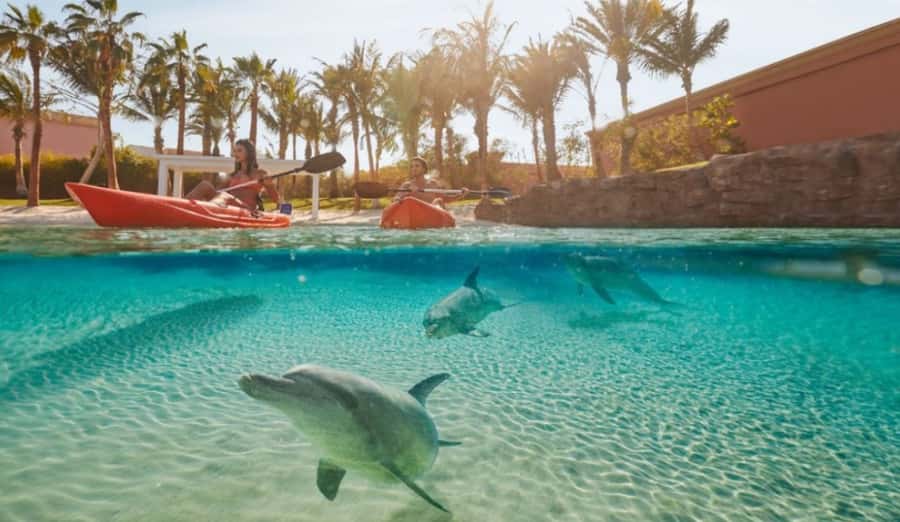 Dubai: Atlantis Dolphin Kayak Trip & Aquaventure Waterpark - Why Atlantis Dolphin Kayak feels different in Dubai