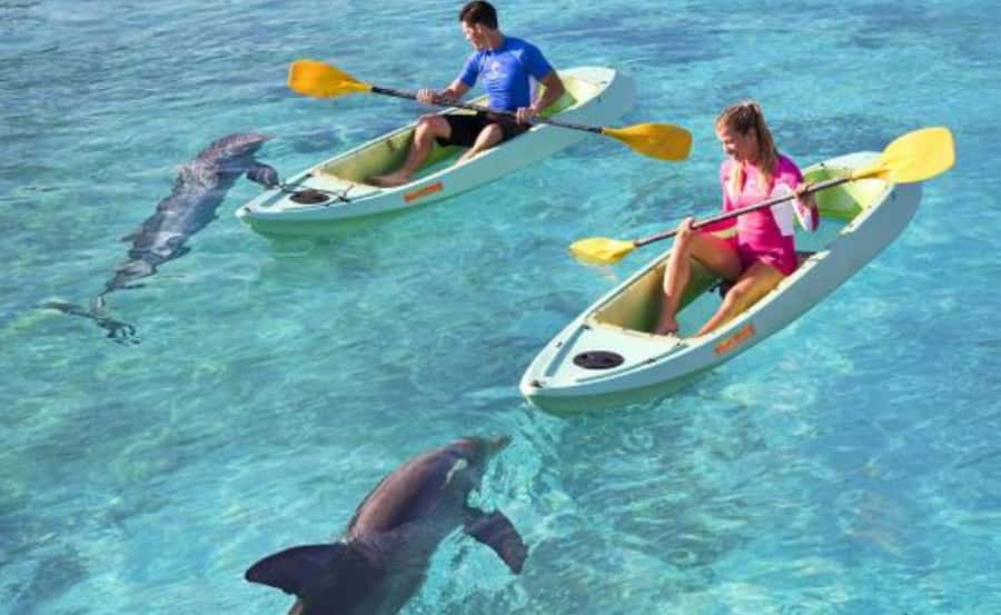 Dubai: Atlantis Dolphin Kayak Trip & Aquaventure Waterpark - The dolphin kayak ride: briefing, equipment, and real expectations