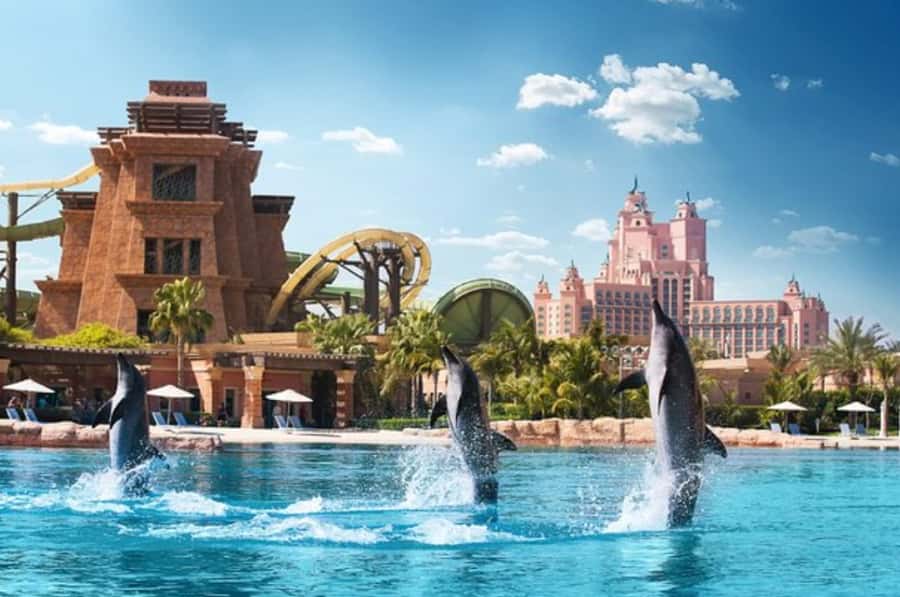 Dubai: Atlantis Dolphin Kayak Trip & Aquaventure Waterpark - Meeting at Aquaventure Atlas Village and what to do first
