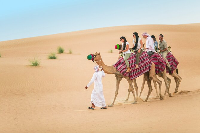 Dubai: Bedouin Culture Safari - Camel Ride to the Bedouin Village: What You Actually Experience
