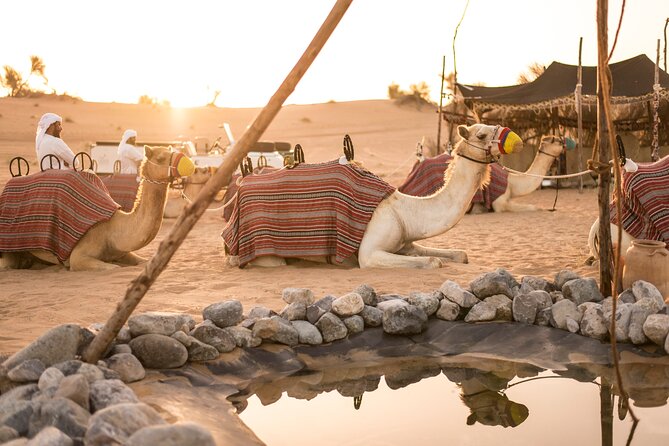 Dubai: Bedouin Culture Safari - Dubai Desert Conservation Reserve: The Gift and the Setting