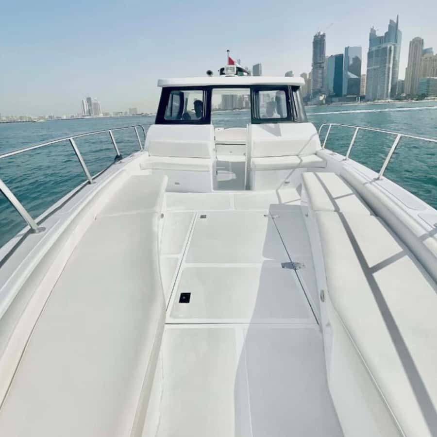 Dubai:Best Fishing Trip-4Hours - Key things to know before you fish in Dubai