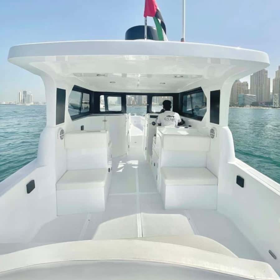 Dubai:Best Fishing Trip-4Hours - Fishing in Gulf waters: what your four hours feels like